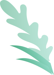 kaamkaz leaf